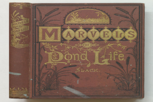 Ein braunes Buch mit dem Titel "Wunder der Teichwelt."