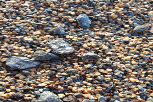 Nahaufnahme eines Haufens Kies auf einem Strand, mit kleinen Steinen drumherum verstreut.