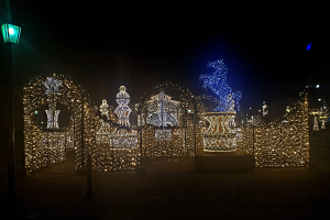 Eine nächtliche Parkszene mit Weihnachtslichtern in einem dekorativen Muster, beleuchtet von einer Straßenlaterne links.