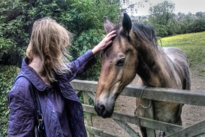 Eine Frau in einer blauen Weste und Handtasche steht neben einem Pferd vor einem hölzernen Tor, mit Bäumen und Gras im Hintergrund.
