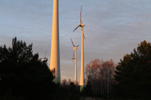 Eine Gruppe von Windkraftanlagen in einem Feld bei Sonnenuntergang, mit Bäumen im Vordergrund und bewölktem Himmel im Hintergrund.