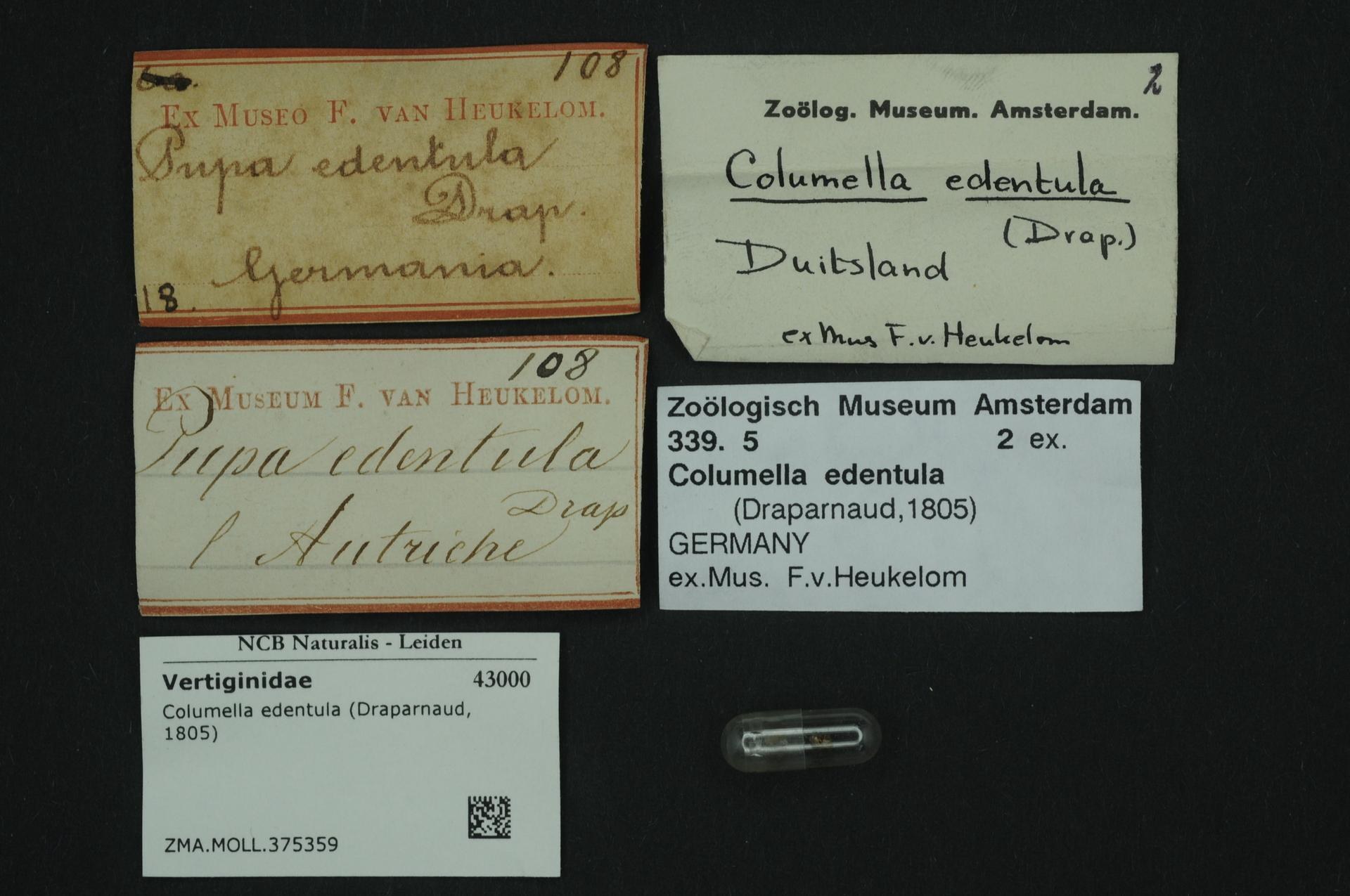 Eine Sammlung alter Visitenkarten mit Text in Bezug auf Columella edentula, ein niederländisches Medikament, und ein kleines Papier mit einem Barcode.