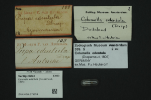 Eine Sammlung alter Visitenkarten mit Text in Bezug auf Columella edentula, ein niederländisches Medikament, und ein kleines Papier mit einem Barcode.