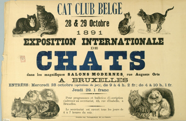 Anzeige für einen Katzenclub in Belgien mit Bildern von Katzen in verschiedenen Größen und Farben und fetter Schrift.