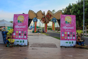 Gruppe von Menschen vor einem "Abrasel"-Schild auf einem Festival mit Bannern, einem sitzenden Menschen, einem Besenstiel, Topfpflanzen, einem Tisch mit Gegenständen, einem Zelt, Pfählen, Gras, Baumrinde, Dekorationen, einem Straßenpfahl, Fahrzeugen und einer bewölkten Himmel.