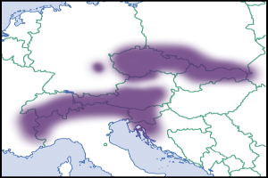 Eine Europakarte mit einem schwarzen Rand oben und unten, die die Europ├╝ische Union in lila in der Mitte hervorhebt.