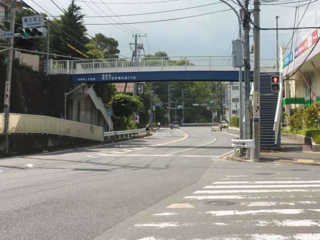 Stadtstraße mit einer Fußgängerbrücke darüber, Fahrzeuge auf der Straße, Strommasten und -leitungen, Ampeln, Schilder, Gebäude mit Fenstern, Bäume und ein Himmel als Hintergrund.