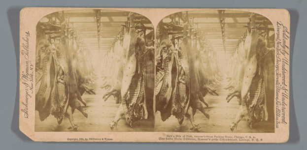 Ein Schwarz-Weiß-Foto einer Gruppe von Tieren, die von der Decke eines Schlachthofs hängen, mit einem Text auf einem Papier vor ihnen.