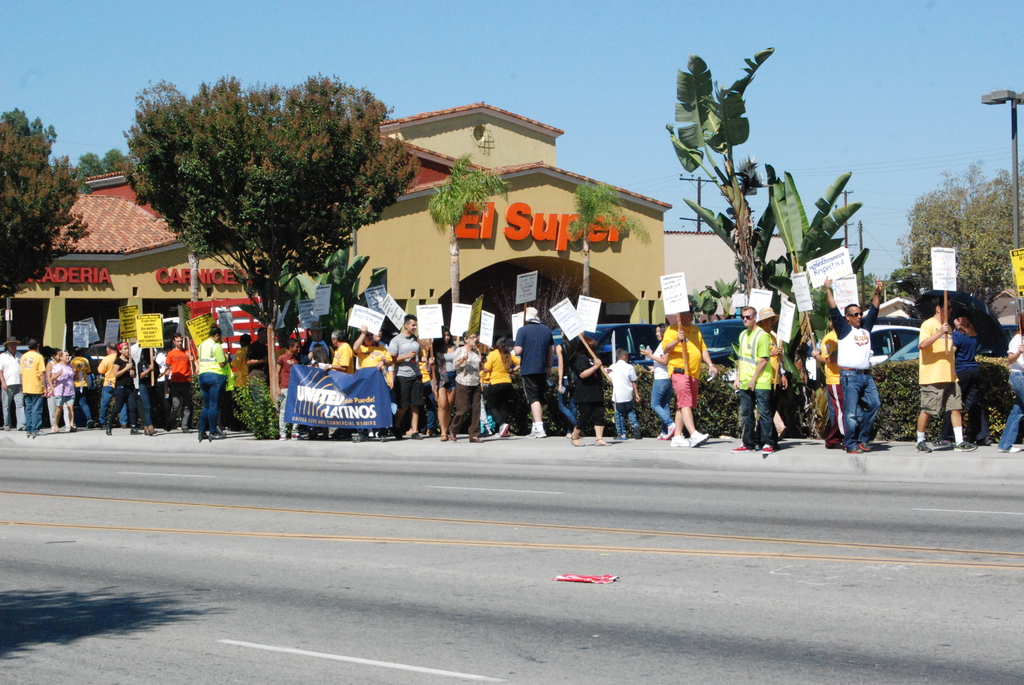 Eine Gruppe von Menschen mit Schildern, die durch einen Wald mit Bäumen, Büschen, einem Banner, einem Gebäude mit Namensschildern und Autos im Hintergrund gehen, möglicherweise während eines aktuellen Wahlkampfs.