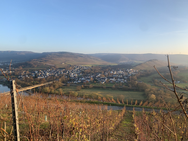 Eine malerische Aussicht auf das Rheintal von einem Hügel aus, mit grünem Laub, Häusern und einer Brücke, die den Fluss überspannt, vor einem blauen Himmel.