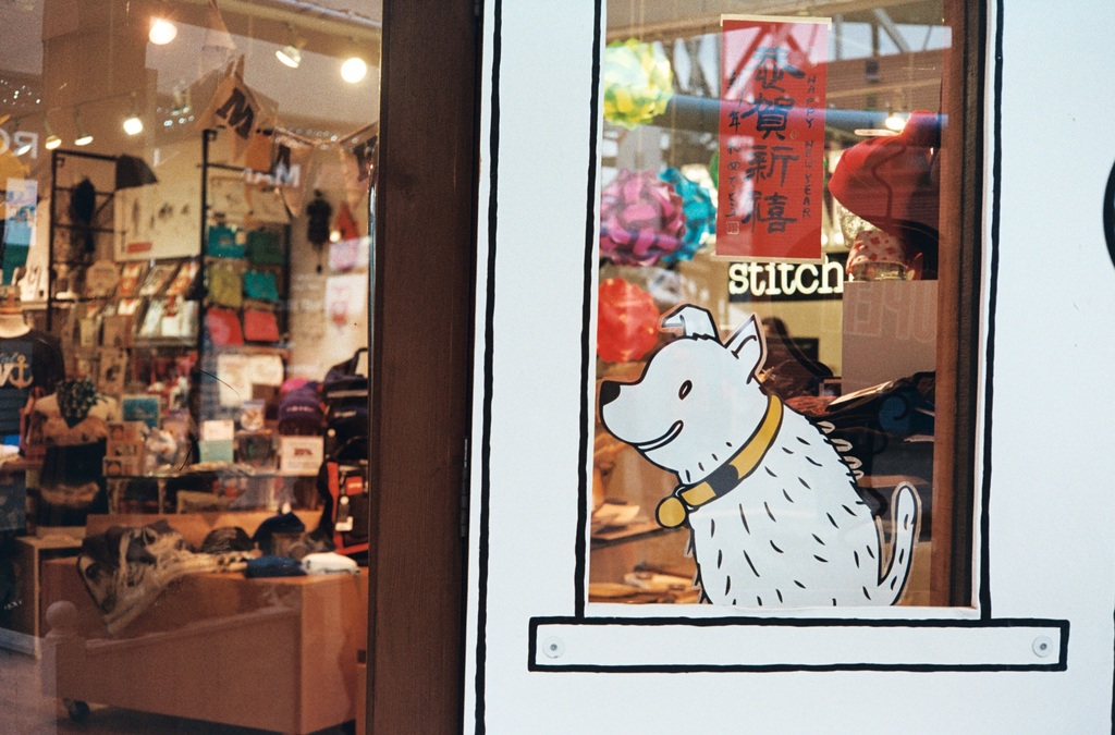 Eine Illustration eines Hundes mit Text auf der rechten Seite und links ein Raum mit Lampen, Flaggen, Regalen, Sofas, Kleidung, Deko, Menschen, Stühlen und verschiedenen anderen Gegenständen.