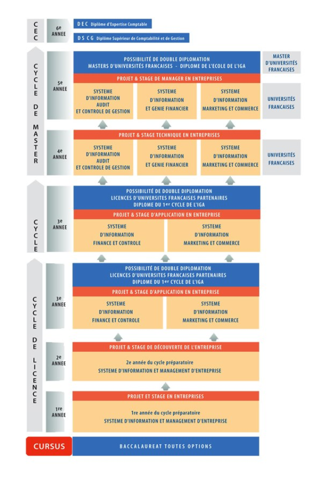 Diagramm, das die organisatorische Struktur eines Unternehmens mit interconnected boxes darstellt, die die verschiedenen Phasen des Geschäfts growths und der Entwicklung darstellen, begleitet von beschreibendem Text.