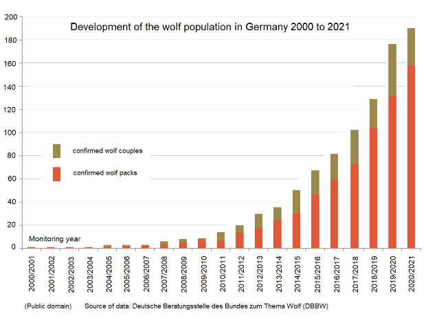 Liniengraphik zur Entwicklung der Wolfspopulation in Deutschland von 2000 bis 2021 mit begleitendem Text.