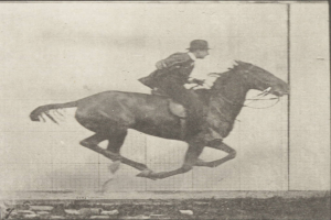 Ein Mann reitet ein Pferd.